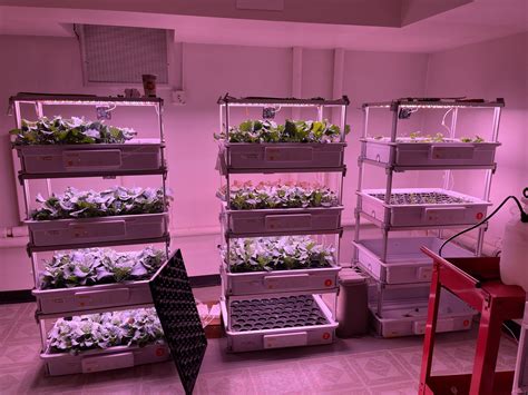 Image result for Opcom Farm