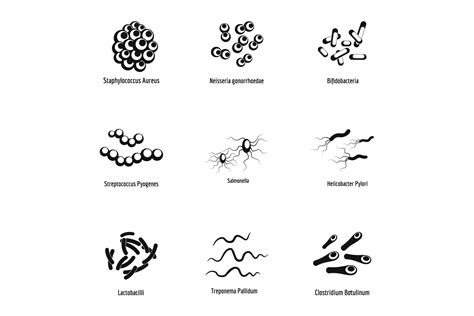 Image result for Shape of a Pathogen