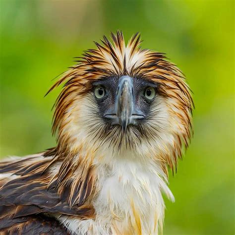 CORPUS CHRISTI - June 4, 2026 - National Today