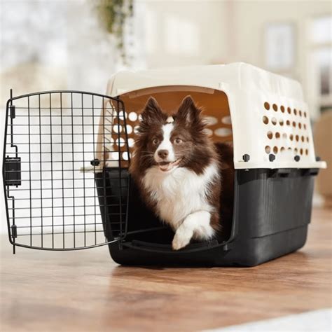 Image result for Cockapoo Crates