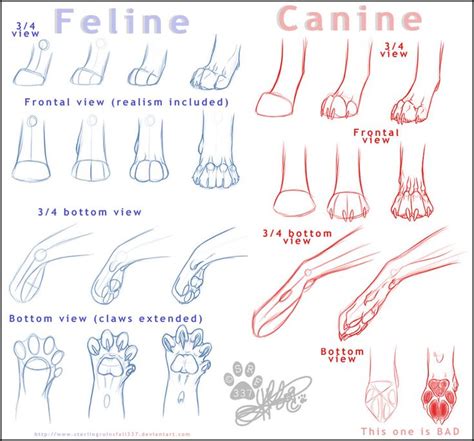 Draw Cat Paws Tutorial 的图像结果