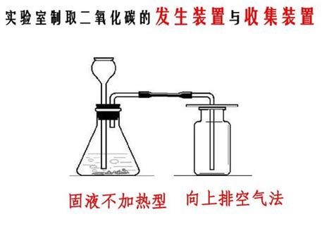 实验室制取二氧化碳 原料：用块状的 或 和 。 (1)不能用浓盐酸，因为它易 。 (2)大理石或石灰石的主要成分为 。 反应原理： (1)碳酸不稳定，易 。 (2)收集方法： (3)验满方法 ...