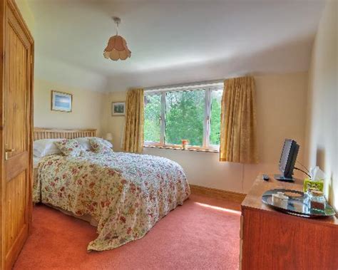 THE COPSE (Dulverton) - B&B Reviews & Photos - Tripadvisor