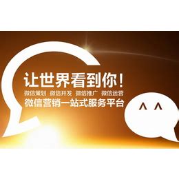 SEO网络推广营销公司网站模板
