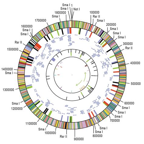 About J. Craig Venter Institute | J. Craig Venter Institute