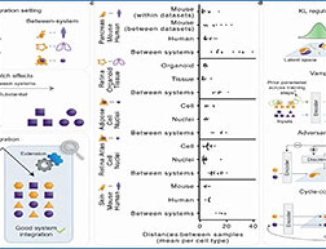 Single-cell RNA-seq 的图像结果