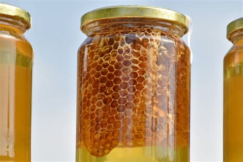 Image result for Alien Seal Liquid