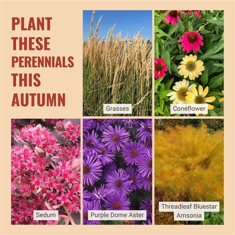 Fall Planting Guide Massachusetts at William Foxworth blog