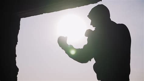 Shadow Boxing 的图像结果