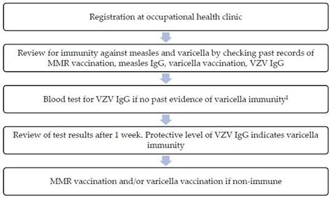 Measles and Varicella Vaccination Program in a Hospital: Implementation ...