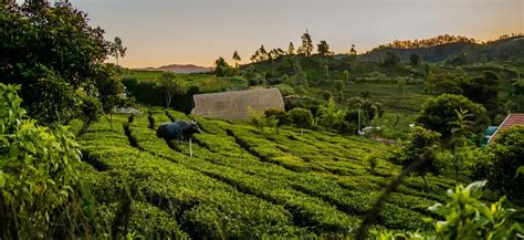 Best Routes for the Indian Bike Tour? - Rentrip.in