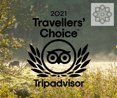 PRIMROSE COTTAGE B&B (Launceston, Cornwall) - Specialty B&B Reviews ...