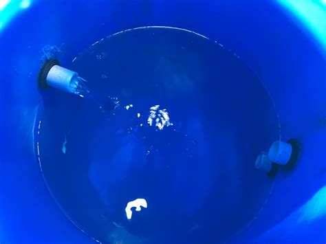 Image result for Spring Water Collection