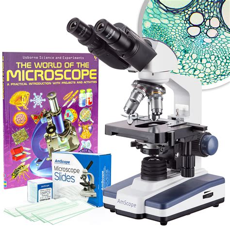 Image result for Compound Microscope Slides