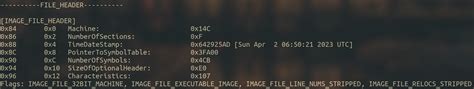 Image result for Portable Executable
