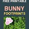 Image result for Easter Bunny Feet Template