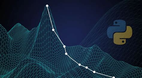 Optimization Examples in Python 的图像结果