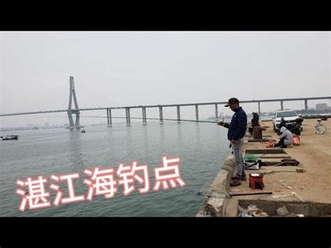 湛江这个地方海钓资源真好，一根手线狂抽30斤鱼，这个石斑很值钱-三农视频-搜狐视频