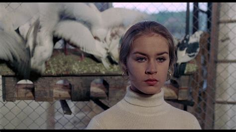 The Blood Spattered Bride