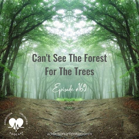 Can’t See The Forest For The Trees • Addiction Unlimited Podcast
