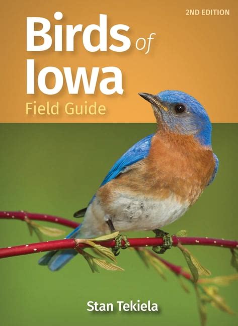 Iowa Bird Sounds Identification 的图像结果