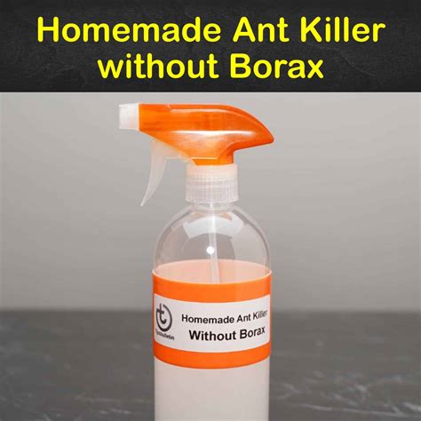 Homemade Ant Trap Without Borax - Homemade Ftempo