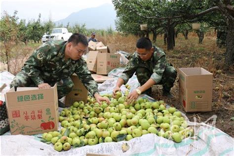 吉林省向着率先实现农业现代化的目标挺进