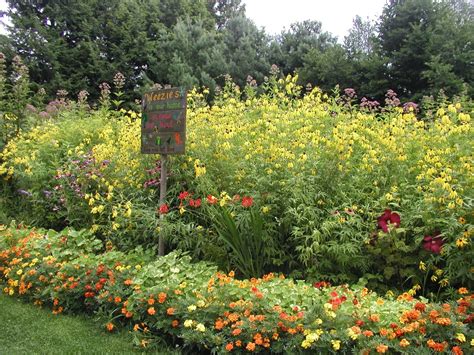 Everyone Outdoors: Treat Yourself to The Gardens at Elm Bank Reservation