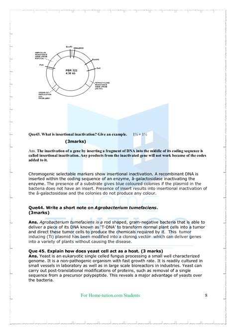 DNA Transformation Class 12 的图像结果