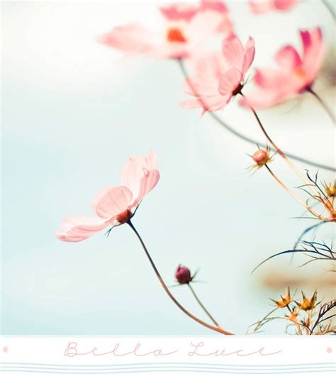 Flores Archivos - Página 18 de 34 - Decoracion.IN