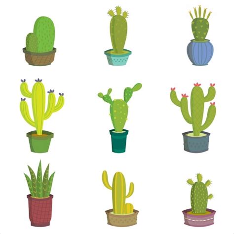 Kaktus-Design-Kollektion | Kostenlose Vektor