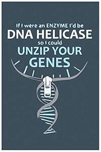Inephos Unzip your Genes Funny Poster (12 x 18 inch) : Amazon.in: Home ...