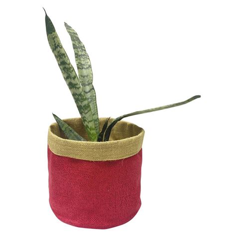 Buy Jute Plant Baskets For Pots | Loomsmith