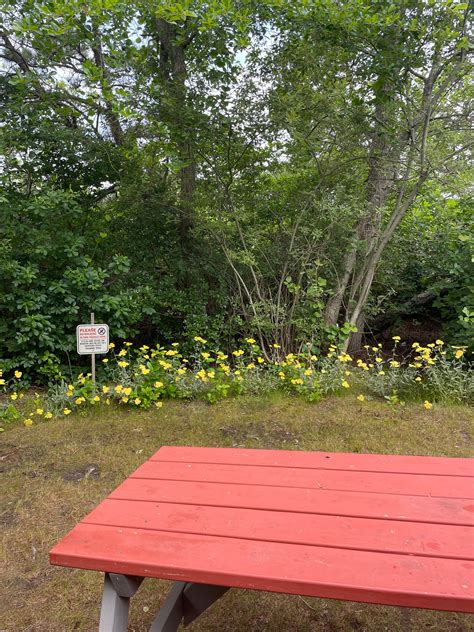 Coastal Acres Campground | Provincetown, Massachusetts