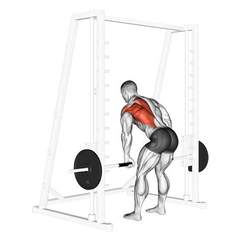 Smith Machine Exercises 的图像结果