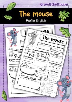 Image result for Mouse Facts