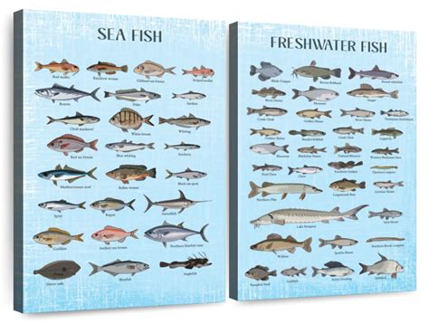 Types 的图像结果