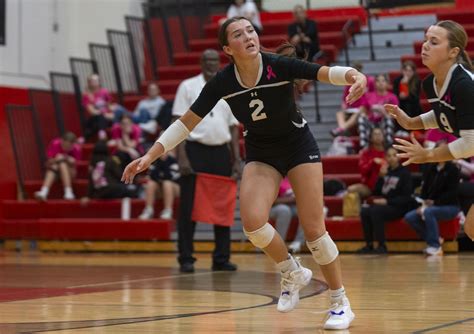 Linden Eagles defeat Swartz Creek Dragons in varsity volleyball - mlive.com