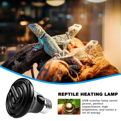 Buy Julam Heating Lamp for Reptiles Ceramic Heat Emitter Reptile Heat ...