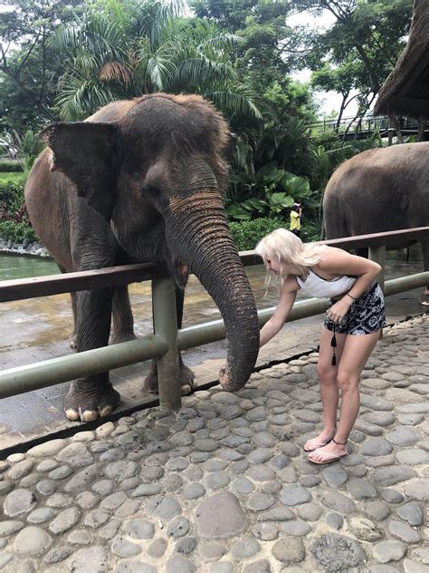 Your Guide to the Bali Zoo | In Sukawati Bali & 15 Minutes From Ubud
