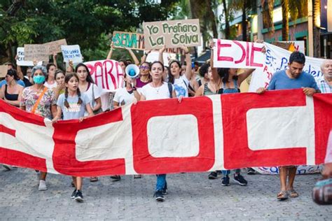 Environmentalist 的图像结果