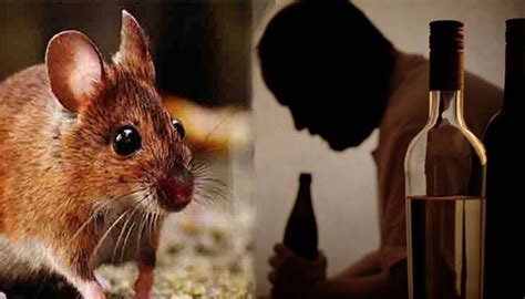 ಮಹಾನಾಯಕ