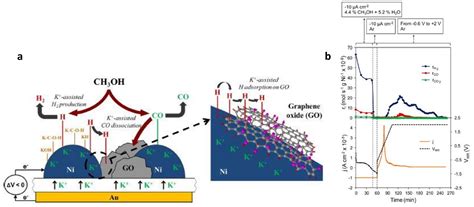 A Discussion on the Unique Features of Electrochemical Promotion of ...