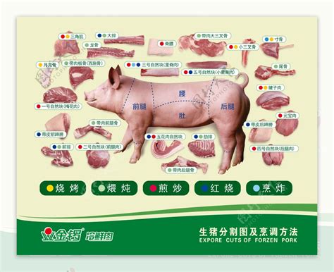 猪肉分割部位图图片免费下载_PNG素材_编号zq9i4l0k3_图精灵