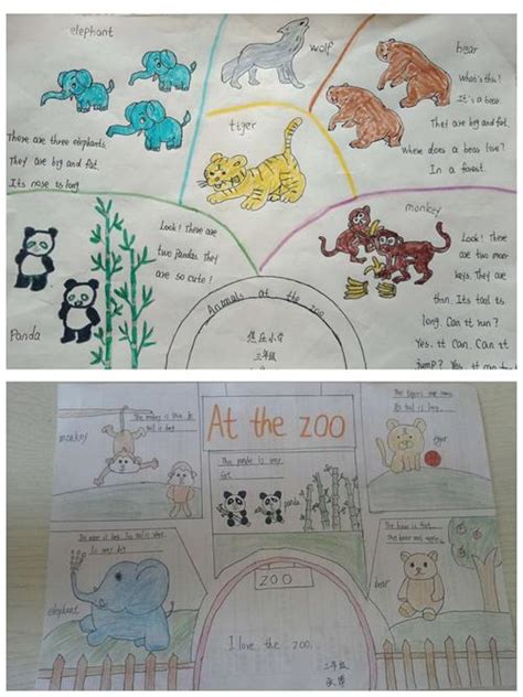 小学三年级下册英语三单元动物手抄报 三年级英语下册第三单元动物手抄报 | 抖兔教育