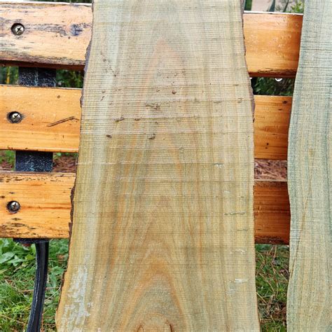 Lignum Vitae | The Wood Database (Hardwood)