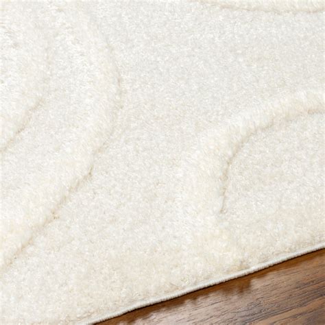KOTIRA Modern Shaggy Area Rug – Surya BV