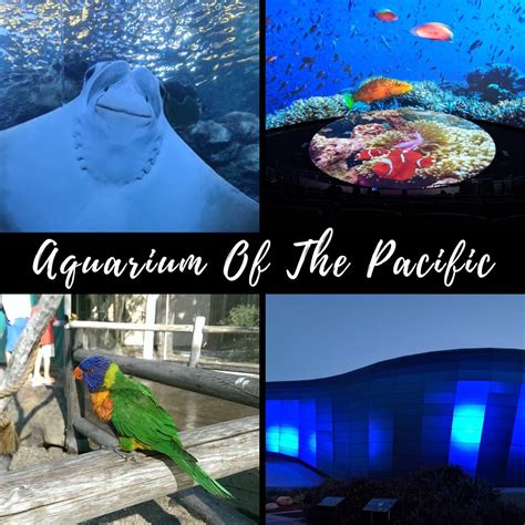 Aquarium Of The Pacific Coupons
