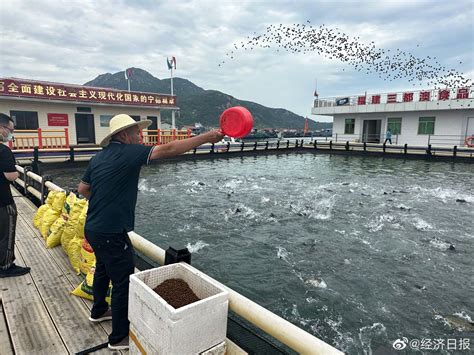南海开渔节暨第五届岭南民俗文化节在广东茂名举行|南海|旅游|滨海新区_新浪新闻