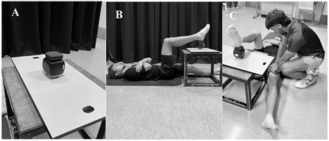 Reliability of a Portable Fixed Dynamometer During Different Isometric ...